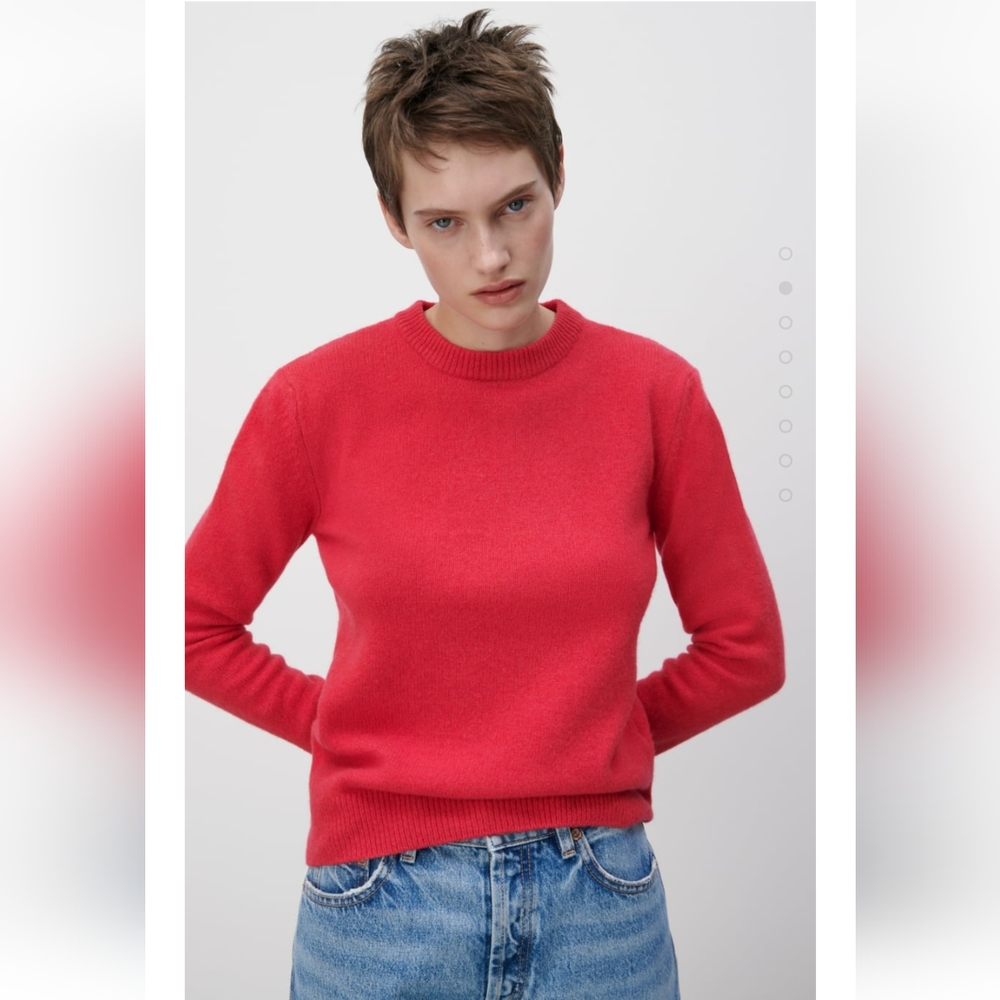 Zara Wool Cashmere Knit Sweater